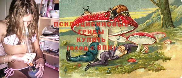 твердый Алексин