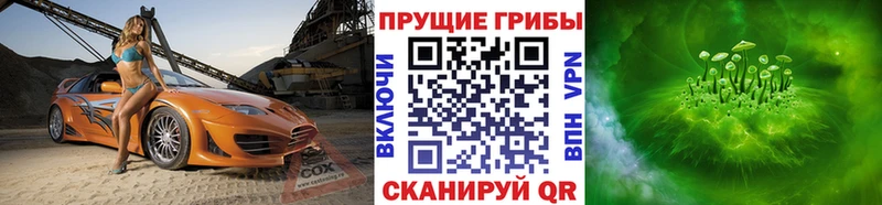 Псилоцибиновые грибы Psilocybe  Междуреченск 